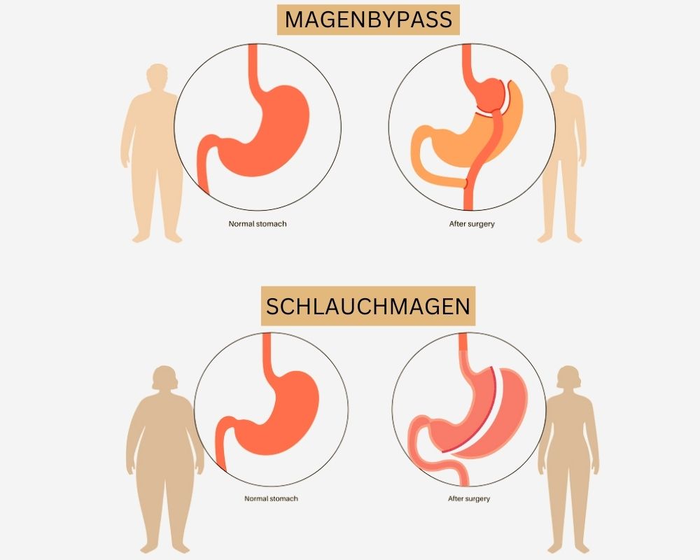 1. Bild Webseite