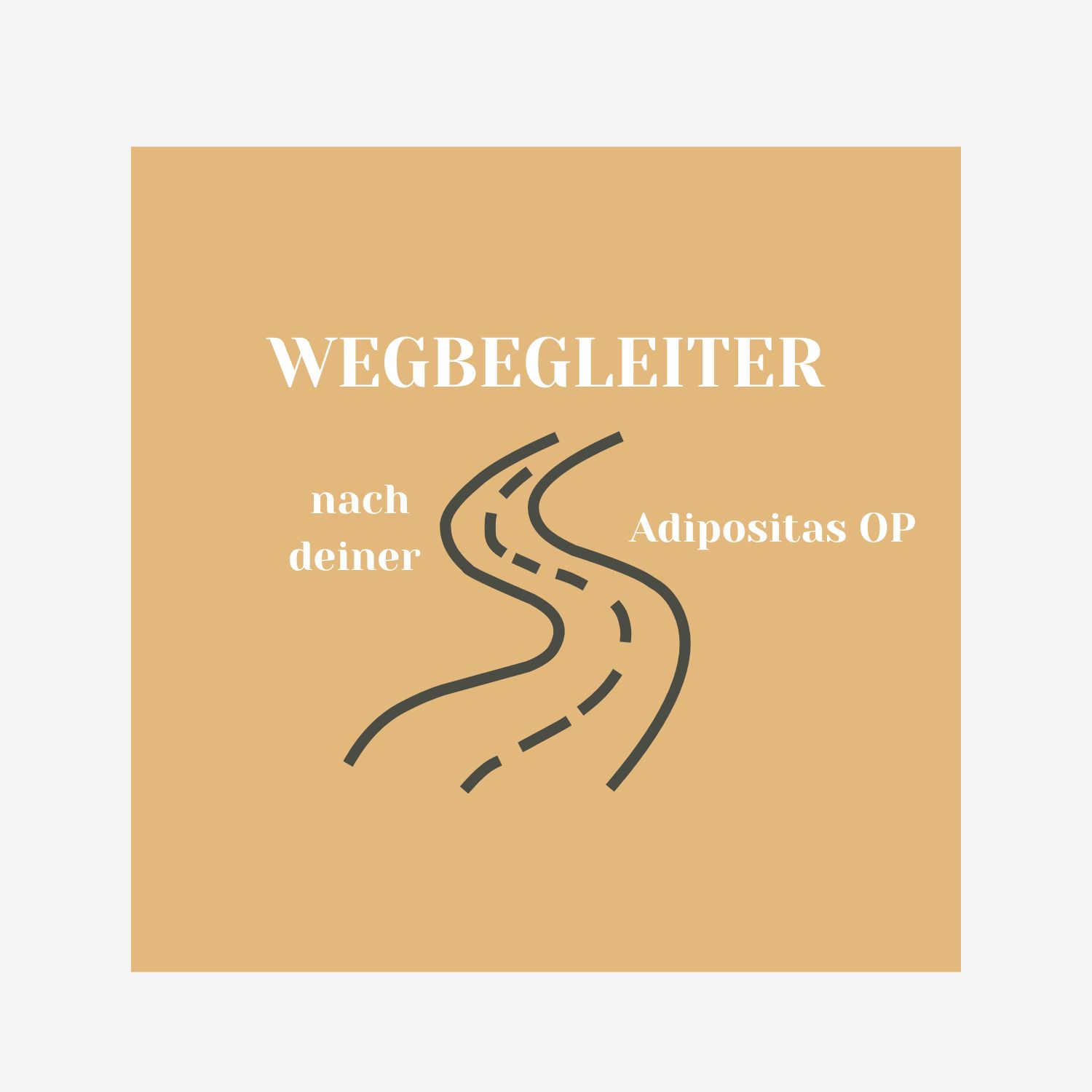 WEGBEGLEITER