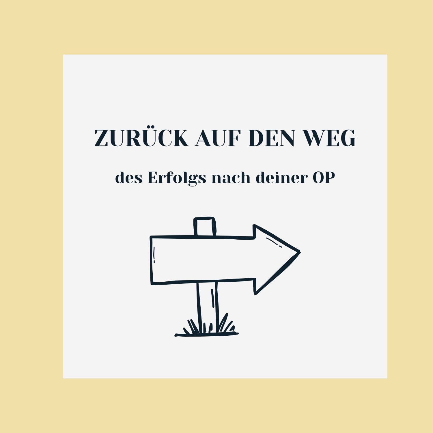 ZURÜCK AUF DEN WEG 3